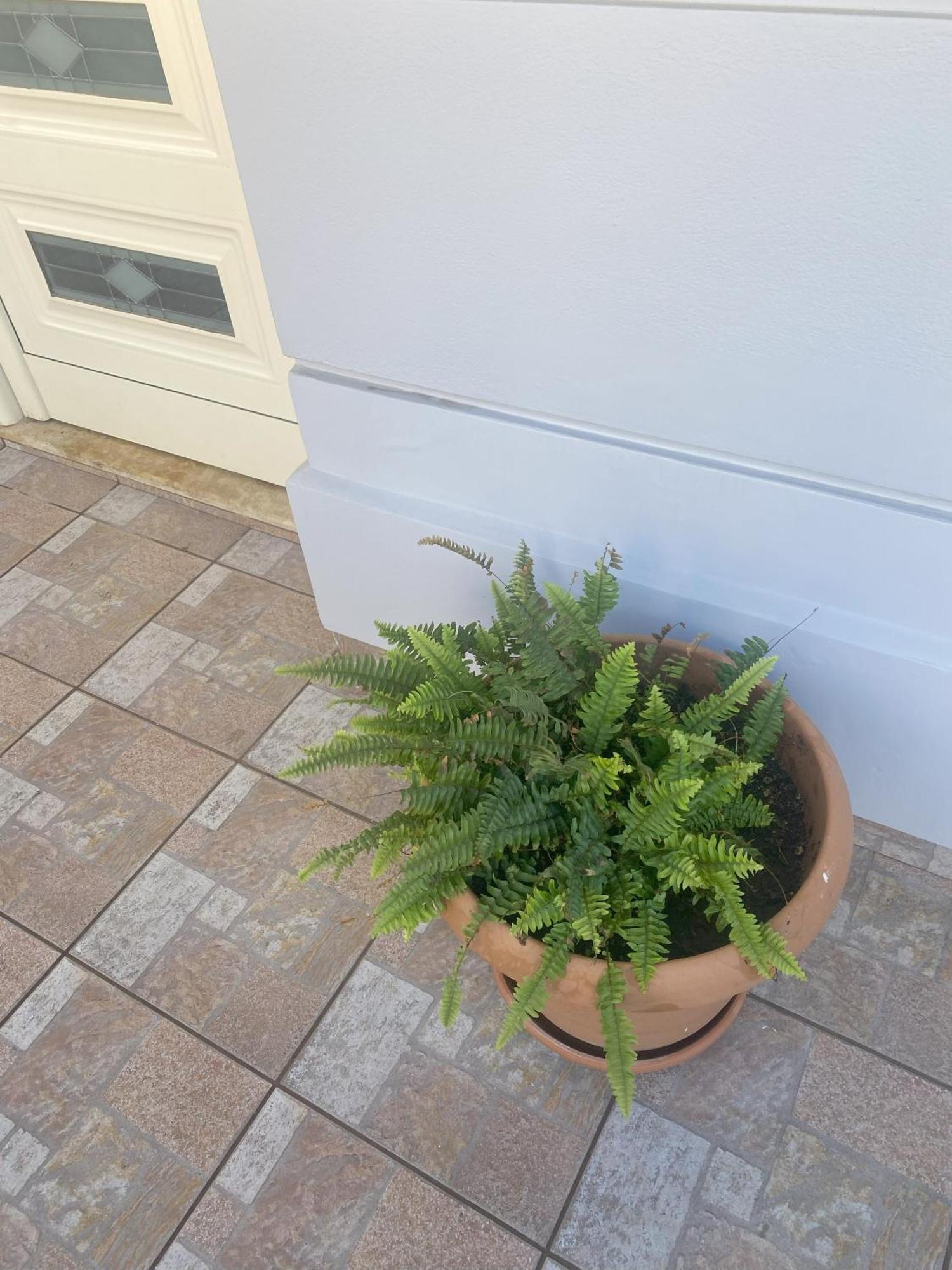 New Unique Apartment In Heraklion Bagian luar foto