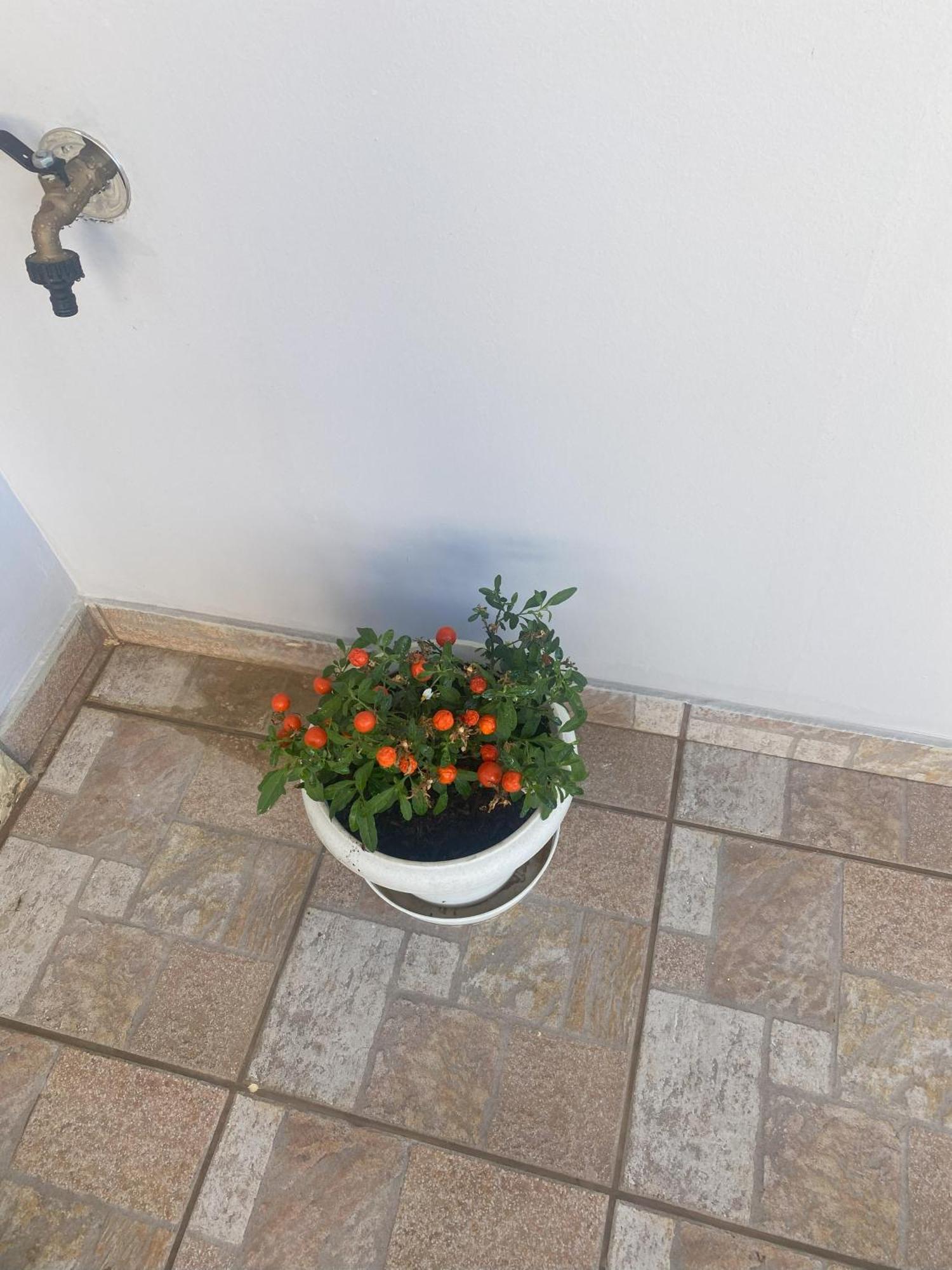 New Unique Apartment In Heraklion Bagian luar foto