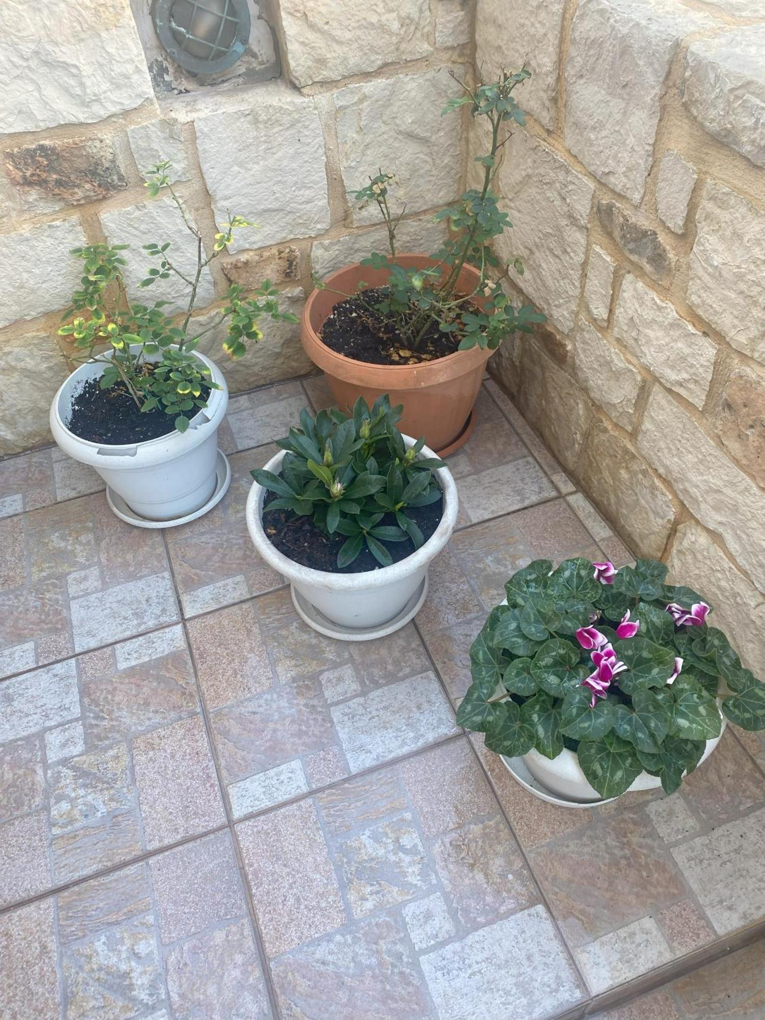 New Unique Apartment In Heraklion Bagian luar foto